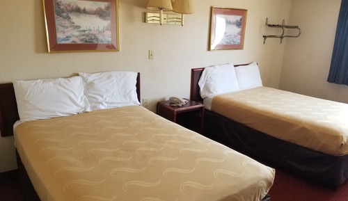 Single Room, 2 Double Beds