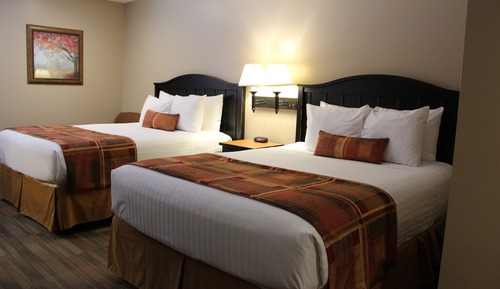 Standard Double Room, 2 Queen Beds, Accessible