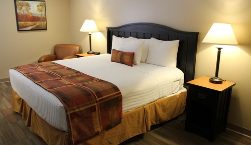 Standard Room, 1 King Bed (Efficiency)