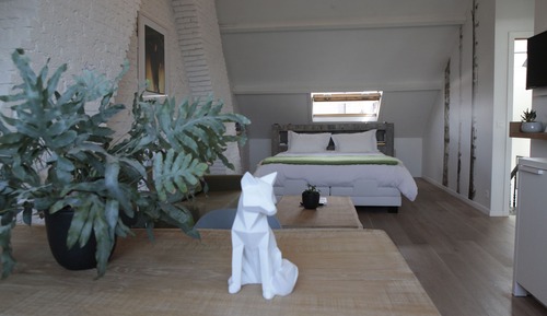 Design Room, 1 King Bed (Icelandic)