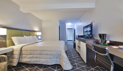 Luxury Single Room, 1 King Bed