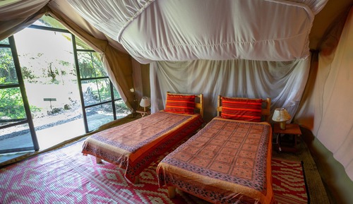 Tent