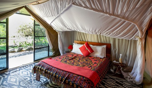 Tent