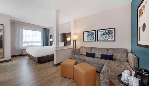 Studio Suite, 1 King Bed with Sofa bed, Non Smoking