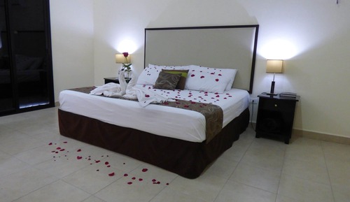 Junior Room, 1 King Bed, Non Smoking, Garden View