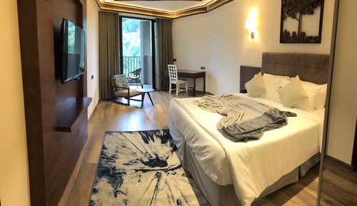 Luxury Room