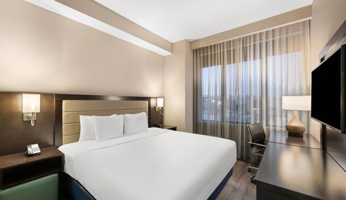 Standard Room, 1 King Bed, Non Smoking