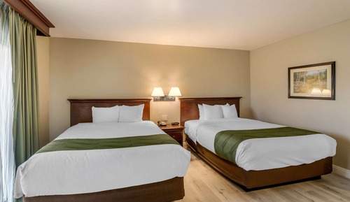 Deluxe Room, 2 Queen Beds, Accessible with Roll-In Shower, Kitchenette, Non-Smoking