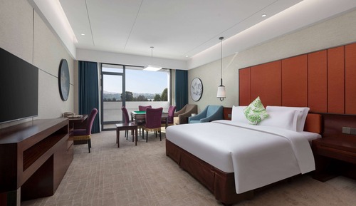 Executive Room, 1 King Bed, Smoking (Deluxe)