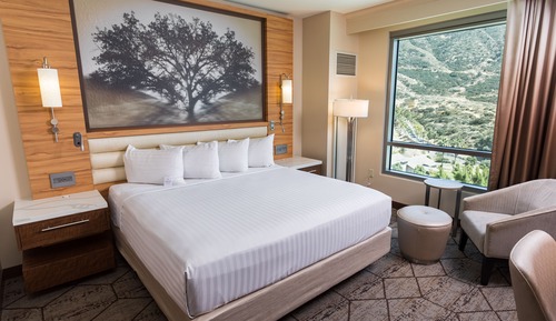 Signature Room, 1 King Bed (21 or older only)