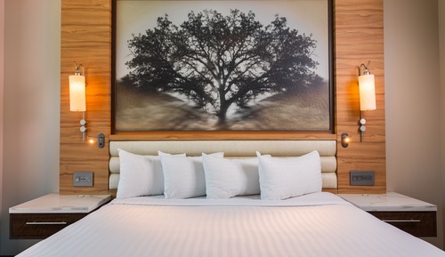 Deluxe Room, 1 King Bed (21 or older only)