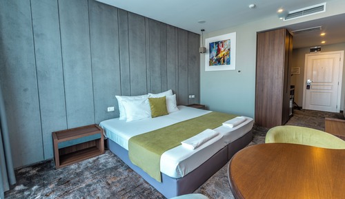 Deluxe Room, Park View