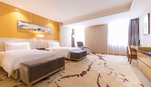 Privilege, Room, 2 Twin Beds