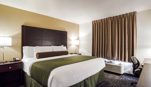 Room , 1 King Bed, Audible/Visual Adapted, Non Smoking