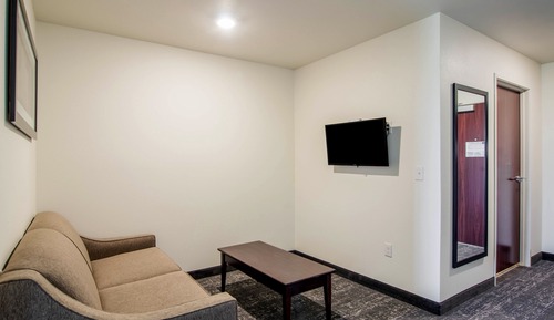 Studio, 1 King Bed with Sofa Bed, Audible/Visual Adapted, Non Smoking