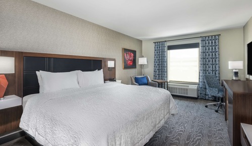 Room, 1 King Bed, Refrigerator