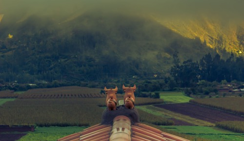 Huaynapicchu King Suite with Valley View