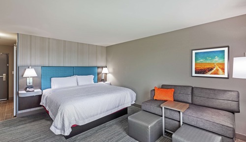 Room, 1 King Bed with Sofa bed, Refrigerator