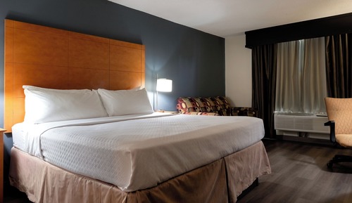 Suite, 1 King Bed, Non Smoking (1 Bedroom)
