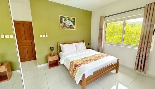 Deluxe Apartment, 2 Bedrooms, Mountain View