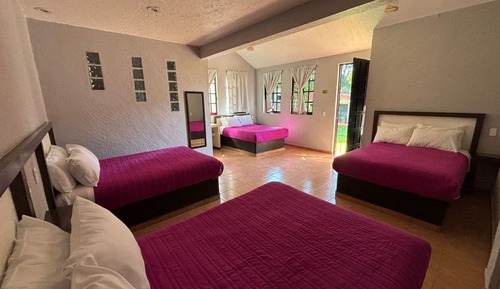 Family Room (Extra)