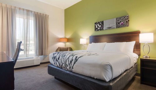 Room, 1 King Bed, Accessible, Non Smoking