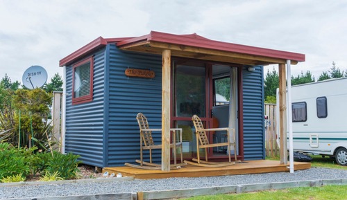 The Pukeko