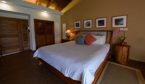 Deluxe 1 King Bed