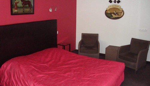 Superior Single Room