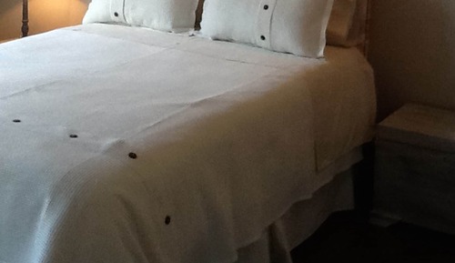 Standard Double Room, 1 Queen Bed