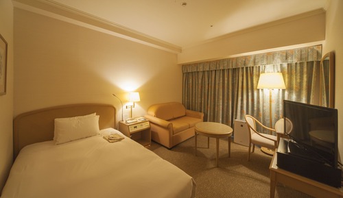 Single Room, Non Smoking