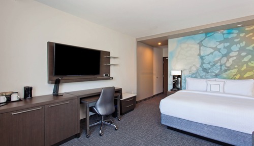 Room, 1 King Bed with Sofa bed