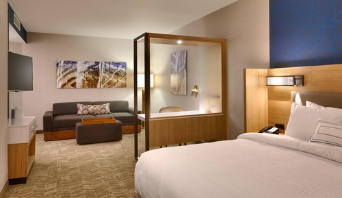 Studio, 1 King Bed with Sofa bed