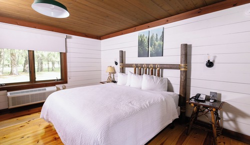Lodge Room, 1 King Bed, Forest View