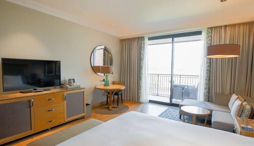 Room, 1 King Bed