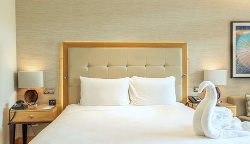 Room, 1 King Bed, Accessible