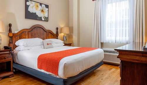 Traditional Single Room, 1 King Bed