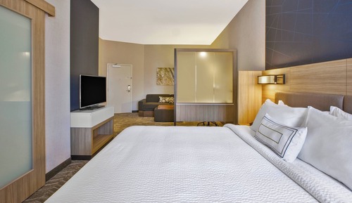Suite, 1 King Bed with Sofa bed
