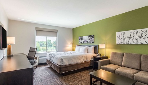 Suite, 1 King Bed with Sofa bed, Non Smoking (2 Person Sofa Bed)