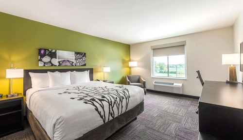 Standard Room, 1 King Bed, Non Smoking