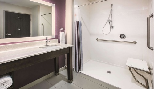 Executive Room, 1 King Bed, Accessible, Non Smoking (Roll-In Shower)