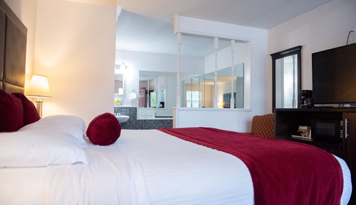 Traditional Room, 1 King Bed, Non Smoking, Jetted Tub