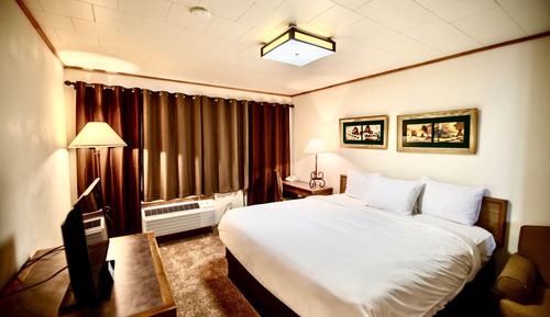 Single Room, 1 King Bed