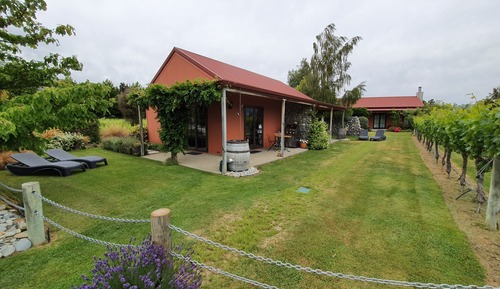 Luxury Studio, 1 King Bed, Patio, Vineyard View