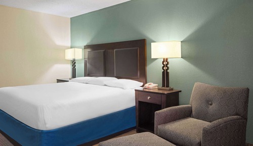 Room, 1 King Bed, Mobility Accessible, Non Smoking (Roll-in Shower)