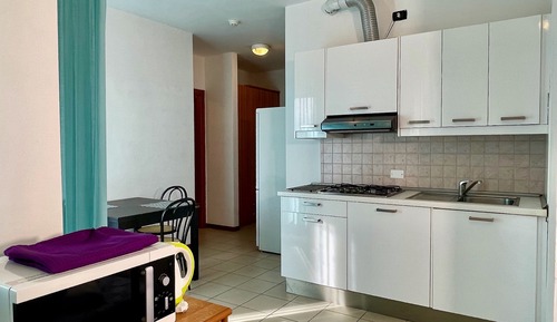 Basic Apartment
