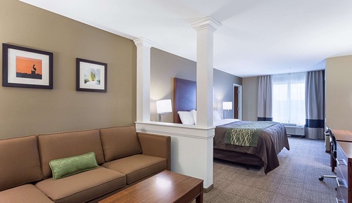 Suite, 1 King Bed, Non Smoking