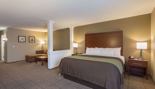 Suite, 1 King Bed, Non Smoking (Larger Room)