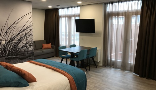 Deluxe Studio Suite (Apartment)