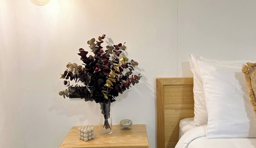 House, 1 Bedroom, Smoking, Mountain View